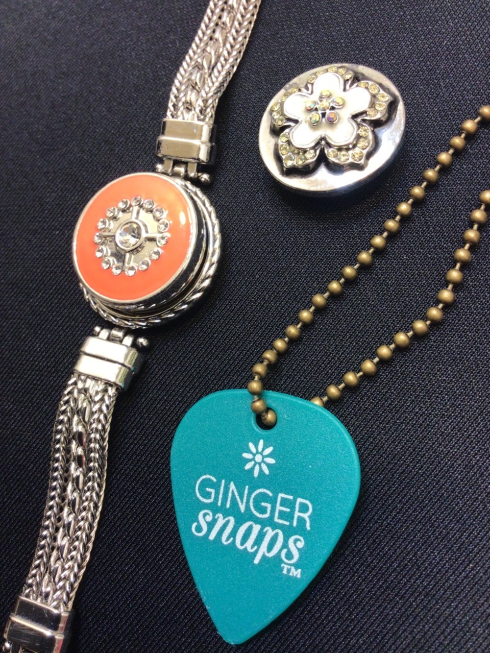 Ginger Snaps Bracelet and Two Interchangeable Snaps